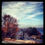 Nov13-trees-msvu-IMG_4578